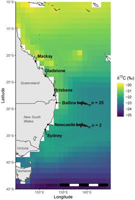 Predicting Geographic Ranges of Marine Animal Populations Using Stable Isotopes: A Case Study of Great Hammerhead Sharks in Eastern Australia